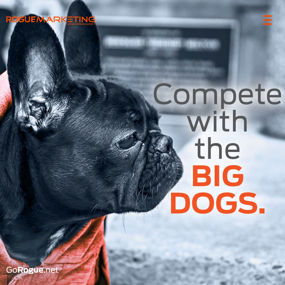 Compete with the big dogs quote
